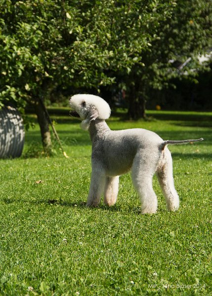 2014-06-06 Cherry & Quincy-8831.jpg